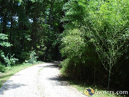 600 ft drive to reach total privacy