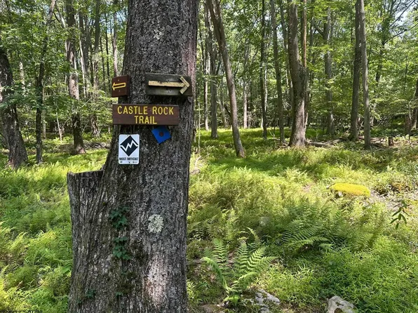 10 Aster Dr, Terra Alta, WV 26764