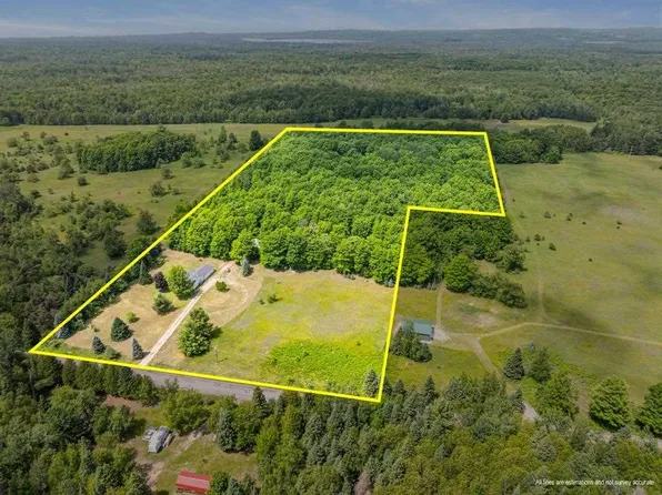 1228 Beckon Rd, Pellston, MI 49769
