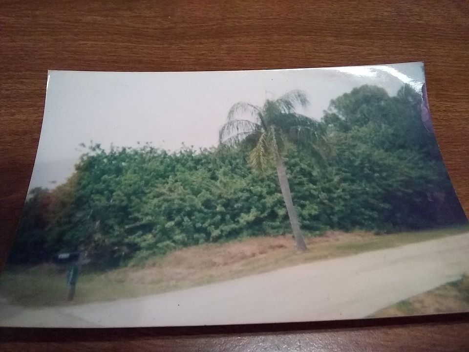 1st image of 18428 Robinson Ave