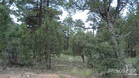 5th image of 5005 Silver Mountain Dr