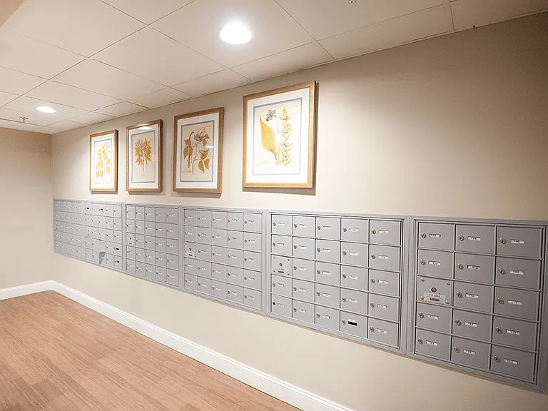 Your Mail Under Lock and Key