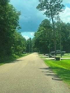 5th image of Chapman Dr