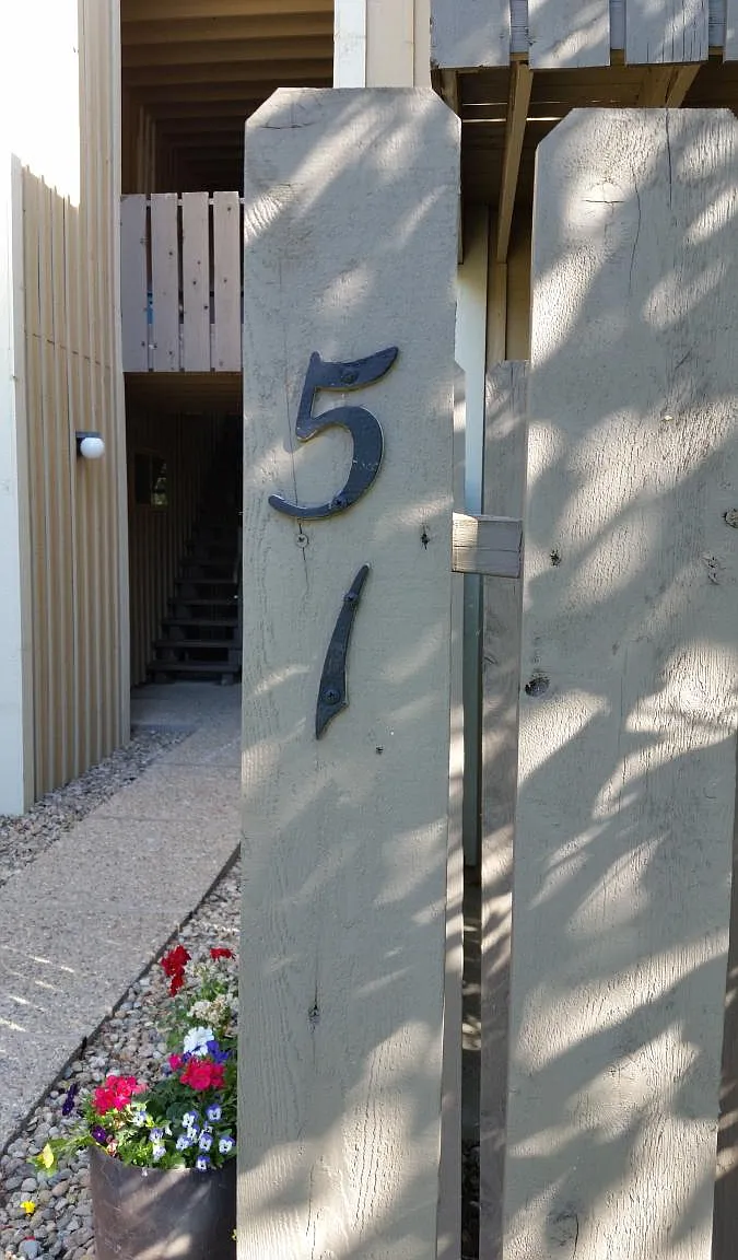 1 bed, 480 sqft, $1,500 — Photo 3