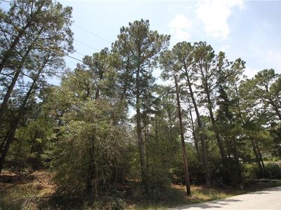 0 Anahulu Ln, Bastrop, TX, 78602