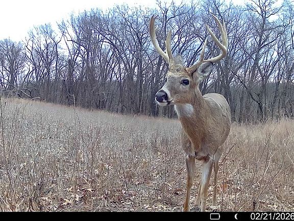 3rd image of 0 Spring Creek Rd