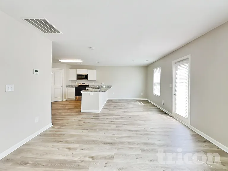 542 Springtime Ln — Photo 4