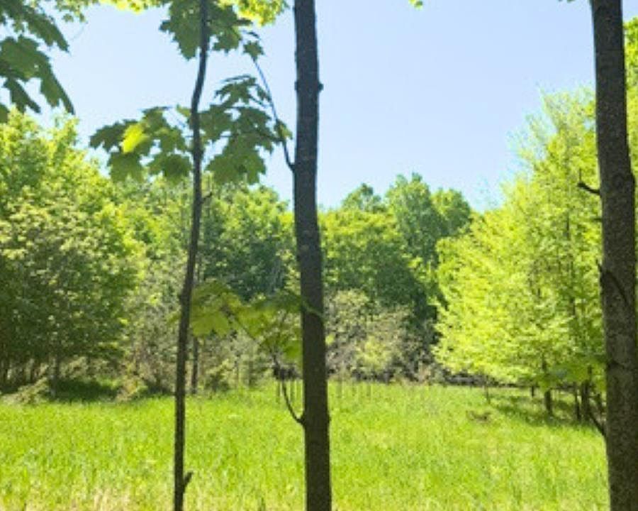 1st image of Loomis Rd