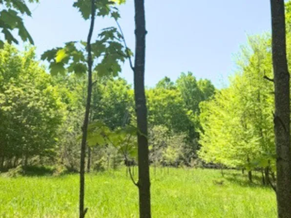 Loomis Rd, East Jordan, MI 49727