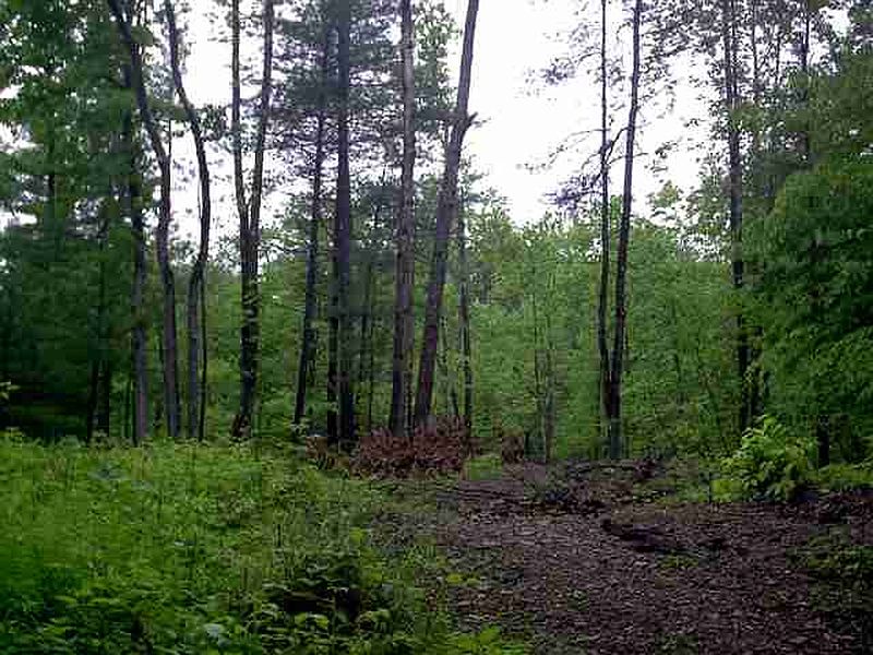 3rd image of 0 E HONEY HOLLOW Road