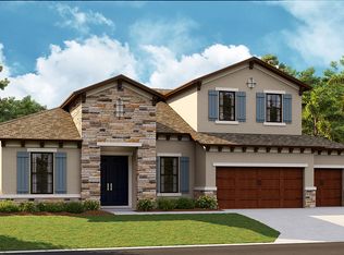 4513 Shoreleaf Loop, Valrico, FL 33596