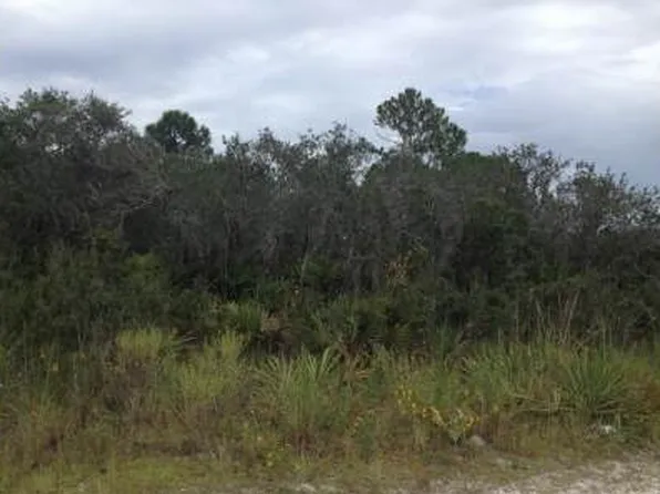1922 Barn Owl St, Sebring, FL 33870