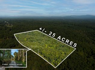 1113 Camp Yonah Rd, Clarkesville, GA 30523