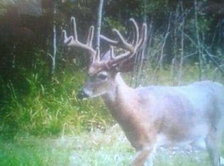 178 Badger Rd, Beaverton, MI 48612