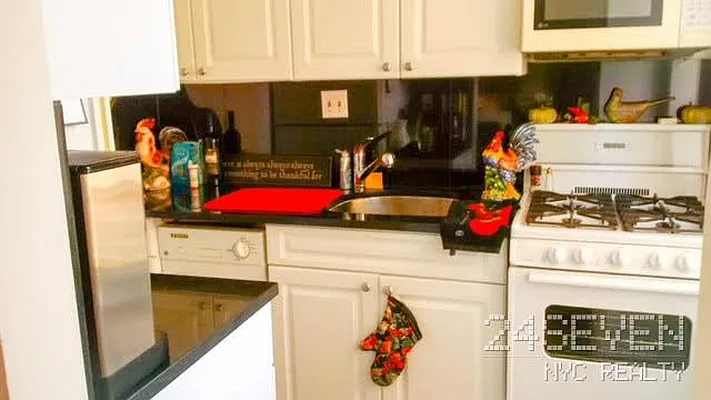 Rented by 24 7 NYC Realty Inc. | media 29