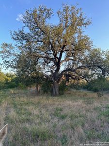 000 County Road 562 LOT 20, Devine, TX, 78016