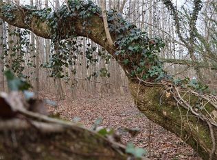 226 Hamburg St Lot 2, Mount Airy, NC 27030