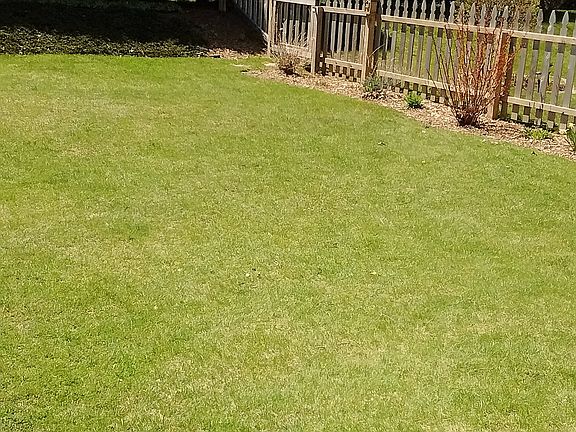 fenced in yard