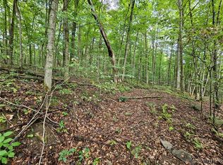Dublin Terrace Rd #11, Salamanca, NY 14779