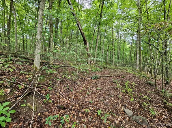 Dublin Terrace Rd #11, Salamanca, NY 14779