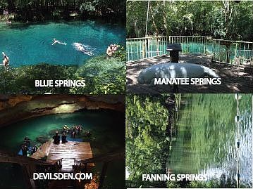 springs in Levy county