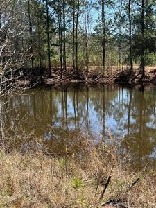 1751 Spring Ridge Rd, Coldspring, TX, 77331
