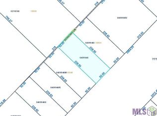 18854 Scivicque Ln, Denham Springs, LA 70726