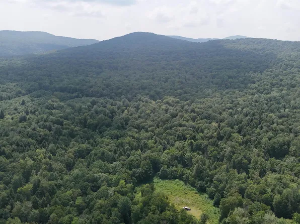 0 Bog Road, Belvidere, VT 05442