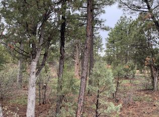 590 S Pine Haven Dr, Show Low, AZ 85901