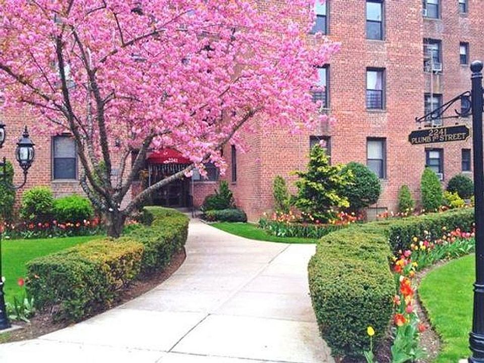 1st image of 2241 Plumb 1 St 1-apt 3S