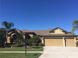 10825 Rain Lily Pass, Land O Lakes, FL 34638