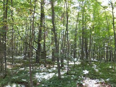 0 N Haze Rd, Beulah, MI, 49617