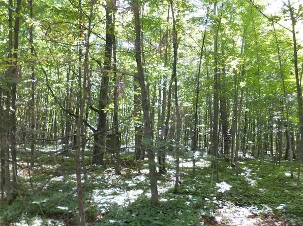 0 N Haze Rd, Beulah, MI 49617