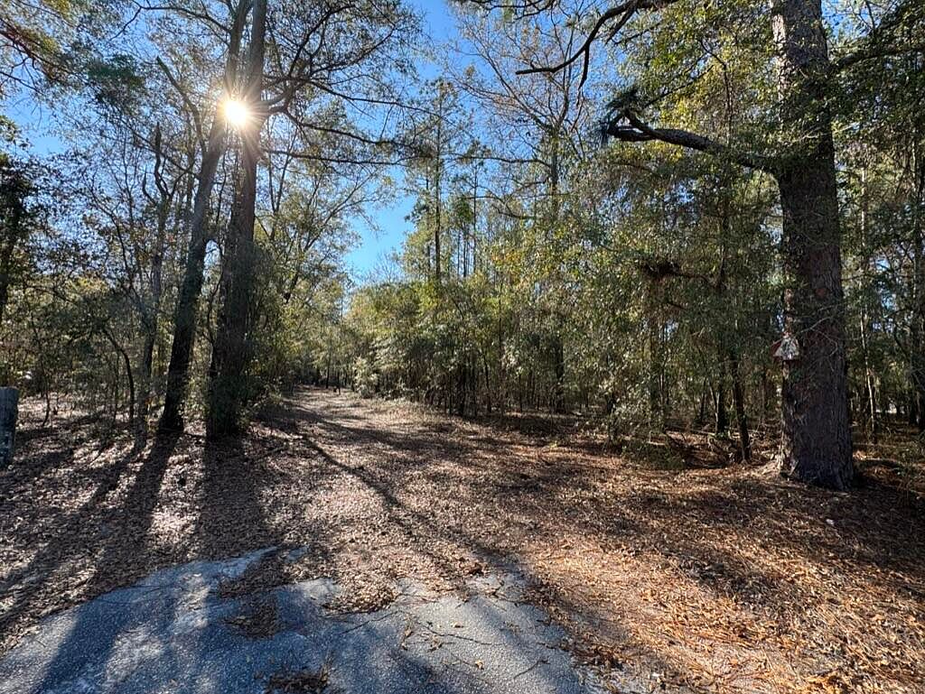1957 Beach Rd, Walterboro, SC 29488 Zillow