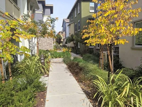 132 Maidenhair Ter — Photo 7