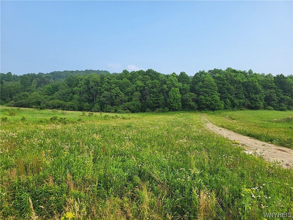 Nys Rte 242, Franklinville, NY 14737 MLS B1460879 Zillow