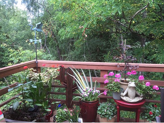 View from deck 