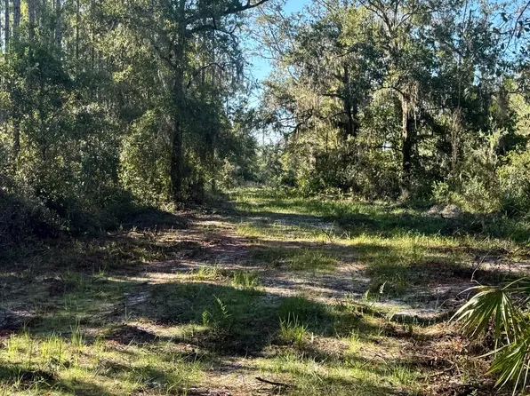 Vac Ne Campbell Rd, Bronson, FL 32621