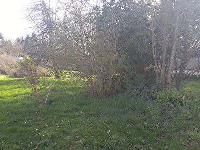 207 Church St, Amity, OR, 97101
