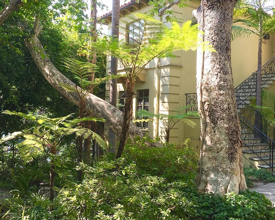 1st image of 8421 Fountain Ave #B