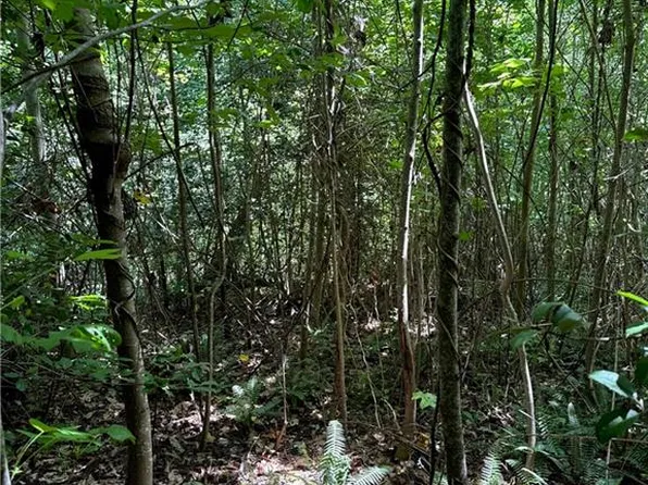 52AC Dutton Rd, Gloucester, VA 23061