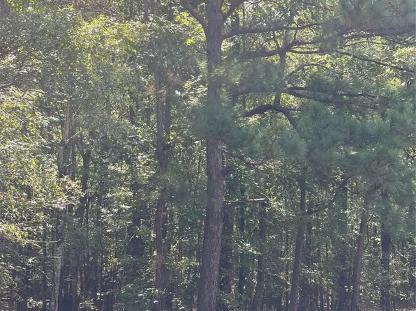 0 Ferry Lake Rd Tract C, Oil City, LA 71061