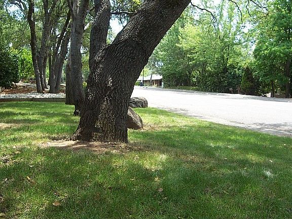 quiet cul-de-sac 