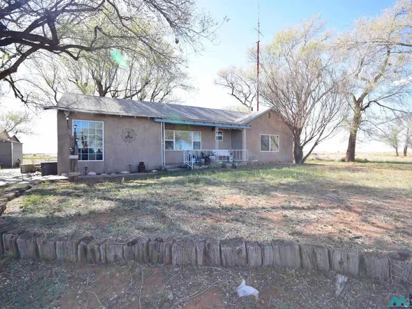 56 N Roosevelt Rd, Portales, NM 88130