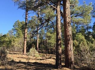 4590 Fox Glove Ln, Show Low, AZ 85901