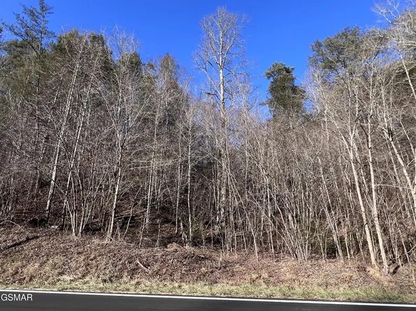1718 Jones Cove Rd Lot 18, Sevierville, TN 37876