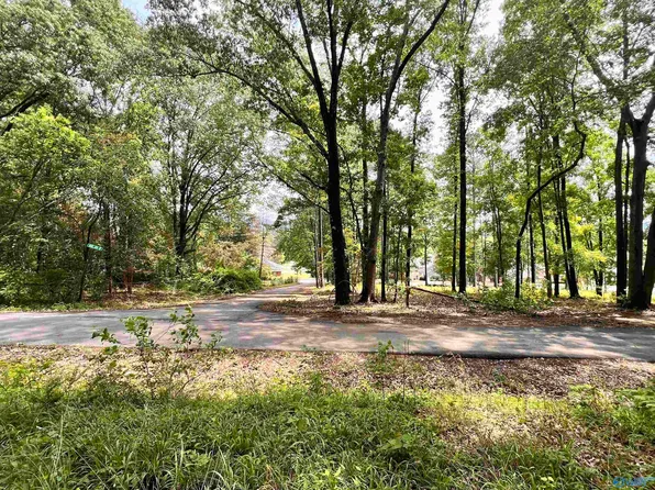 210 George Byrd Dr, Owens Cross Roads, AL 35763