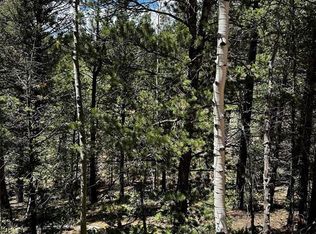 703 Horseshoe Dr, Divide, CO 80814