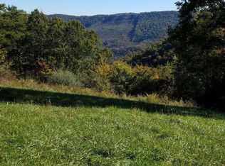 69 Racoon Ln, Pioneer, TN 37847