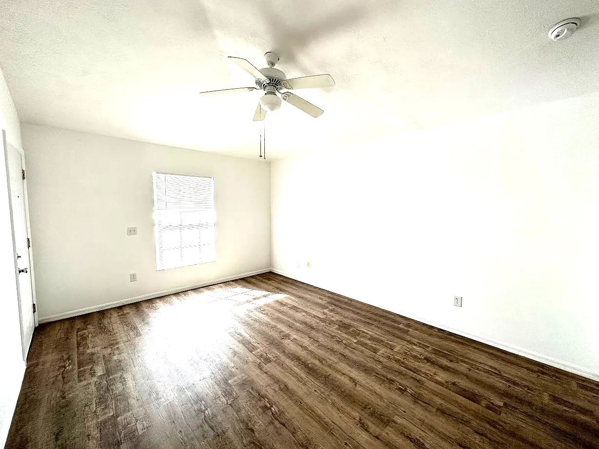 1 bed, $1,350 — Photo 3